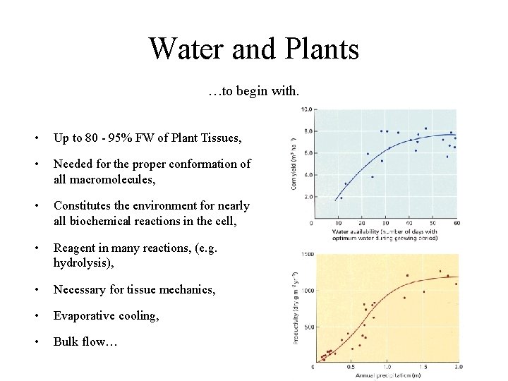 Water and Plants …to begin with. • Up to 80 - 95% FW of