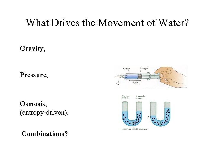 What Drives the Movement of Water? Gravity, Pressure, Osmosis, (entropy-driven). Combinations? 