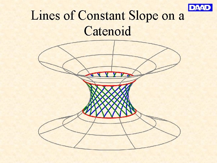 Lines of Constant Slope on a Catenoid 