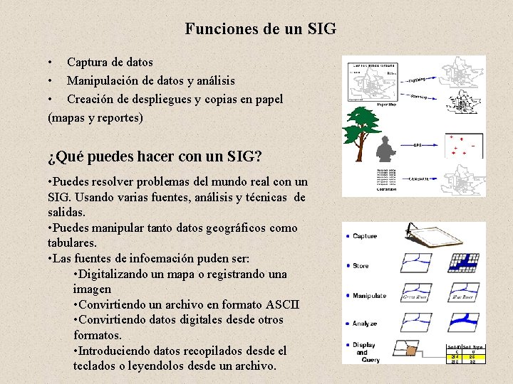 Funciones de un SIG • Captura de datos • Manipulación de datos y análisis