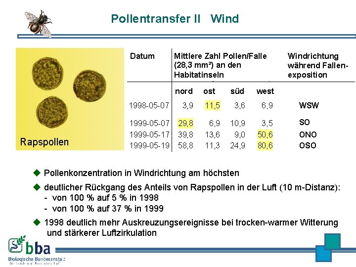 Pollentransfer II Wind Datum Mittlere Zahl Pollen/Falle (28, 3 mm²) an den Habitatinseln nord