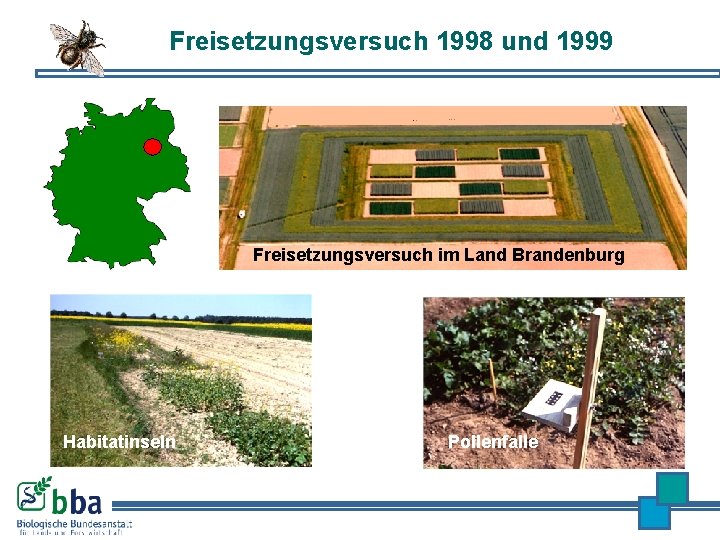 Freisetzungsversuch 1998 und 1999 Freisetzungsversuch im Land Brandenburg Habitatinseln Pollenfalle 