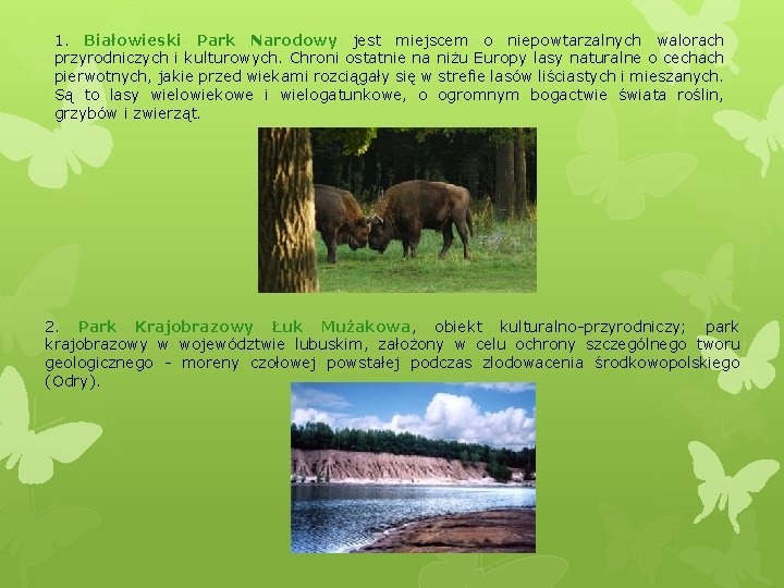 1. Białowieski Park Narodowy jest miejscem o niepowtarzalnych walorach przyrodniczych i kulturowych. Chroni ostatnie