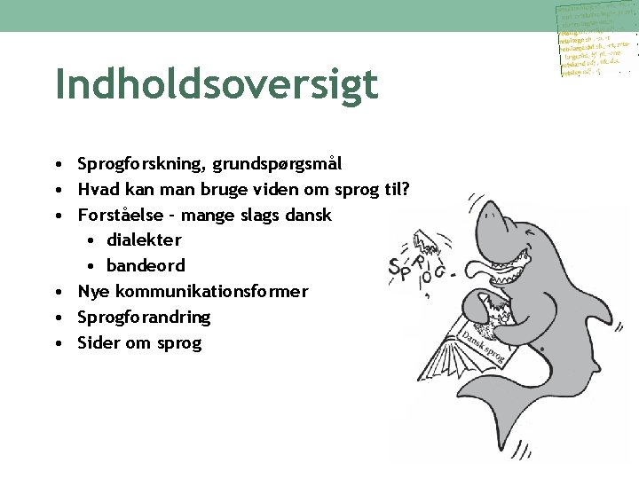 Indholdsoversigt • Sprogforskning, grundspørgsmål • Hvad kan man bruge viden om sprog til? •