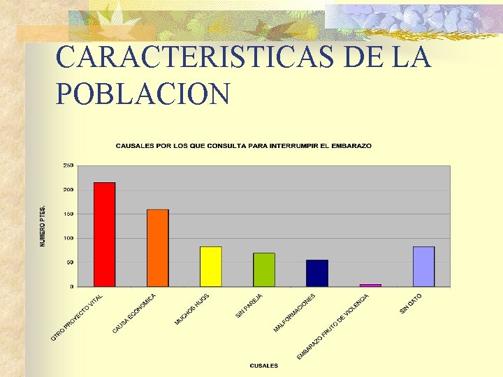 CARACTERISTICAS DE LA POBLACION 