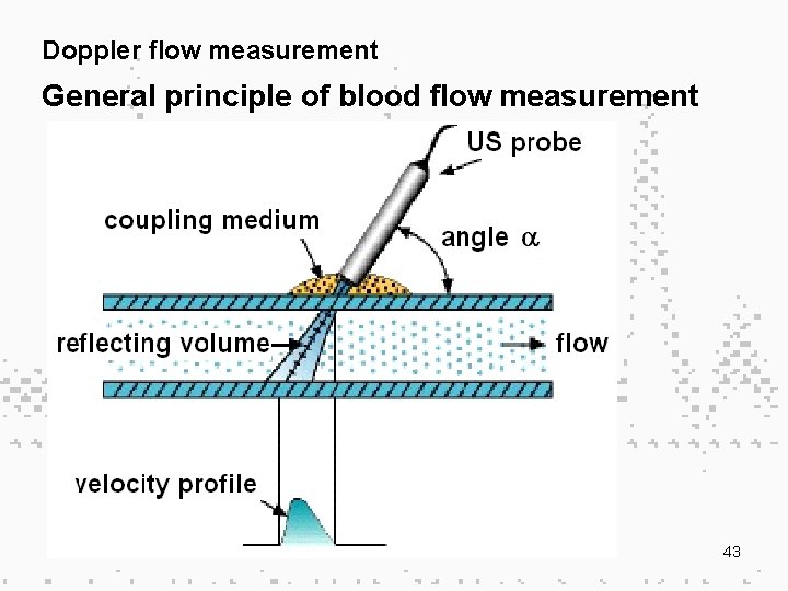 Doppler flow measurement General principle of blood flow measurement 43 