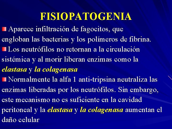 FISIOPATOGENIA Aparece infiltración de fagocitos, que engloban las bacterias y los polímeros de fibrina.