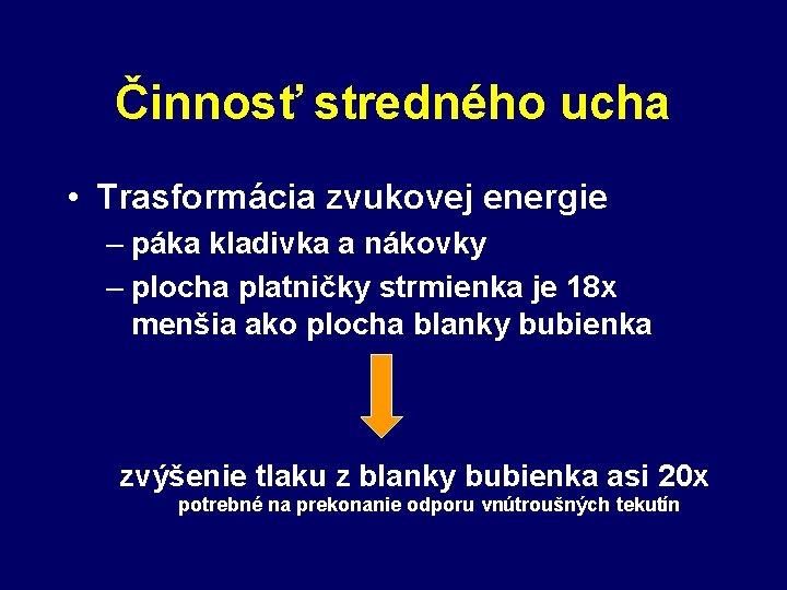 Činnosť stredného ucha • Trasformácia zvukovej energie – páka kladivka a nákovky – plocha