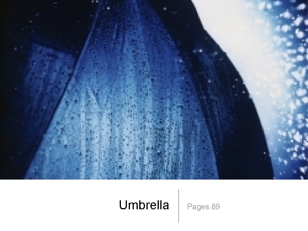 Umbrella Pages 89 
