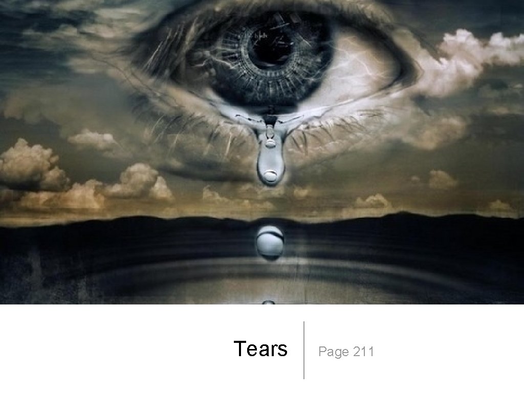 Tears Page 211 
