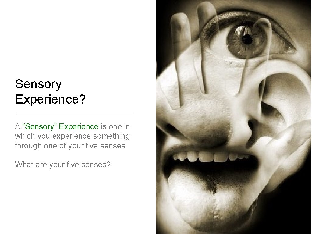 Sensory Experience? A “Sensory” Experience is one in which you experience something through one