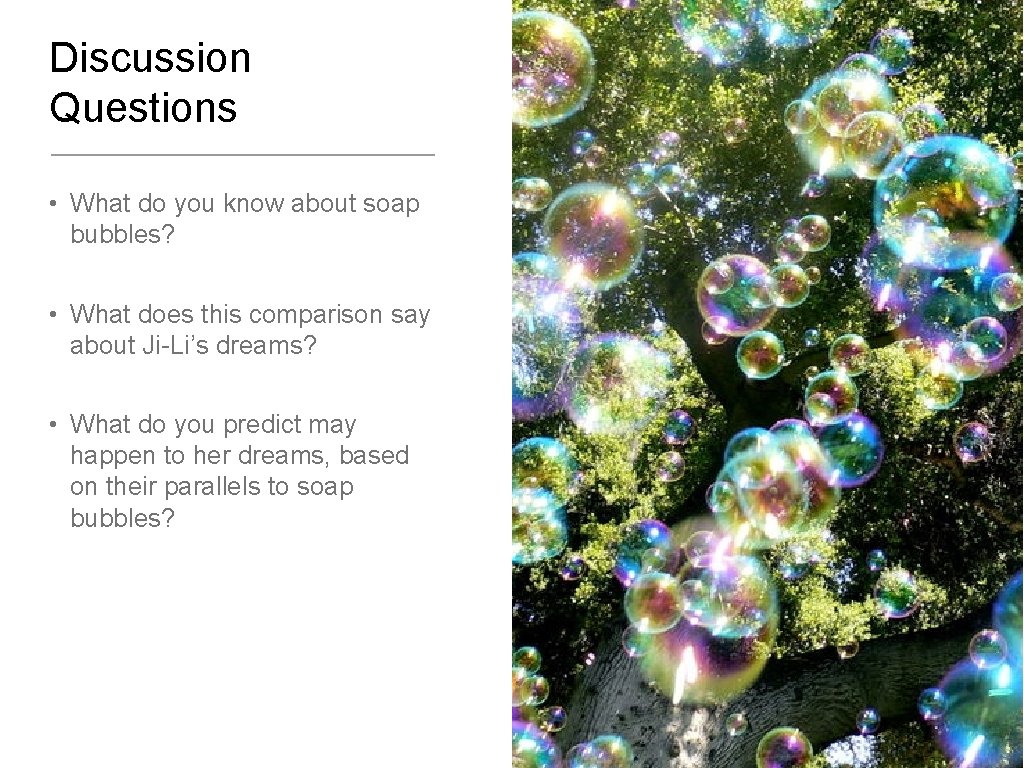 Discussion Questions • What do you know about soap bubbles? • What does this