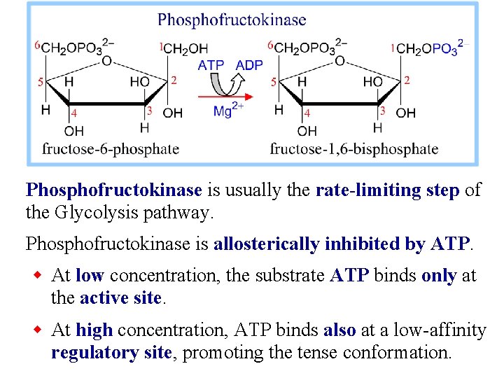 Phosphofructokinase is usually the rate-limiting step of the Glycolysis pathway. Phosphofructokinase is allosterically inhibited