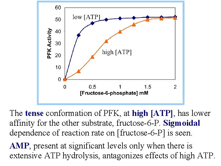 The tense conformation of PFK, at high [ATP], has lower affinity for the other