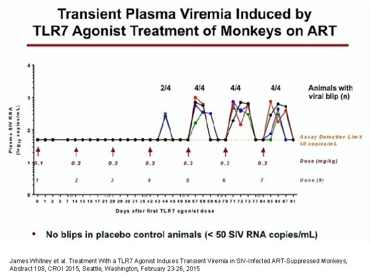 James Whitney et al. Treatment With a TLR 7 Agonist Induces Transient Viremia in