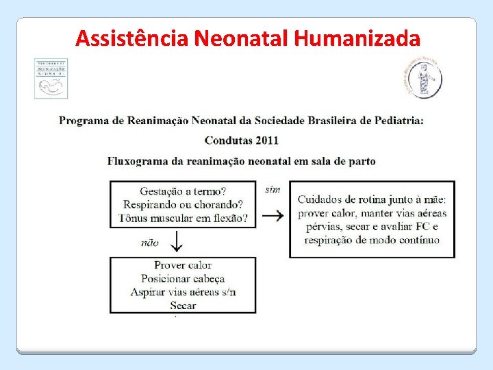 Assistência Neonatal Humanizada 