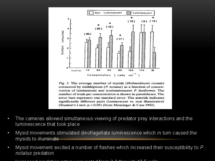  • The cameras allowed simultaneous viewing of predator prey interactions and the luminescence