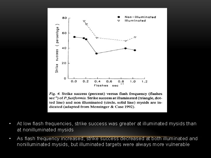  • At low flash frequencies, strike success was greater at illuminated mysids than