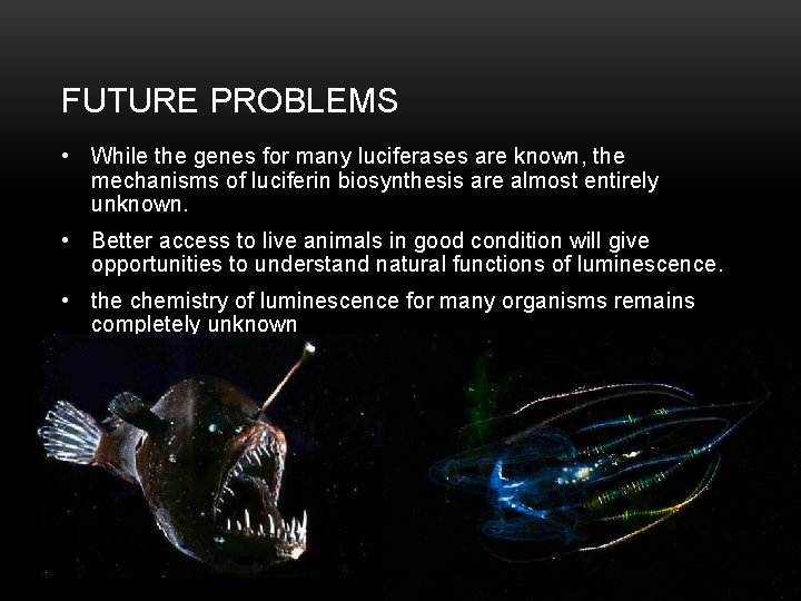 FUTURE PROBLEMS • While the genes for many luciferases are known, the mechanisms of