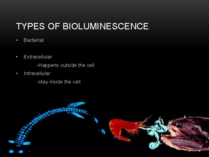 TYPES OF BIOLUMINESCENCE • Bacterial • Extracellular -Happens outside the cell • Intracellular -stay
