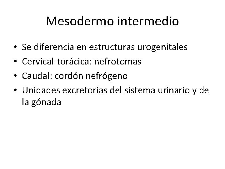 Mesodermo intermedio • • Se diferencia en estructuras urogenitales Cervical-torácica: nefrotomas Caudal: cordón nefrógeno