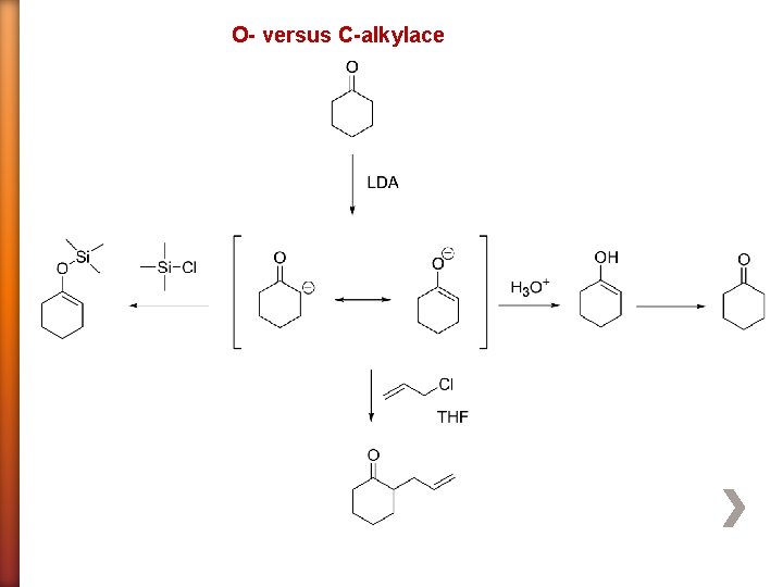 O- versus C-alkylace 