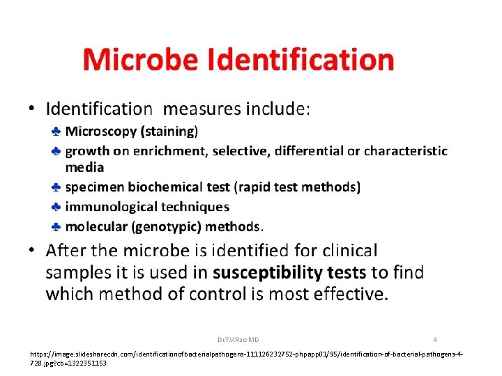 https: //image. slidesharecdn. com/identificationofbacterialpathogens-111126232752 -phpapp 01/95/identification-of-bacterial-pathogens-4728. jpg? cb=1322351153 