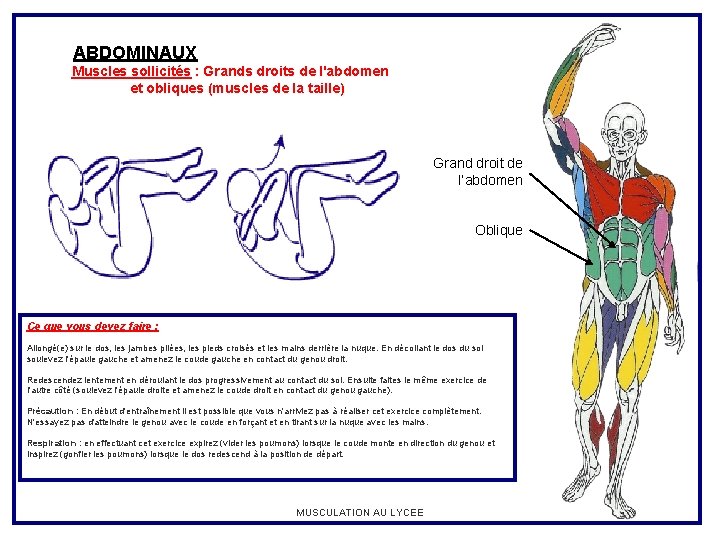 ABDOMINAUX Muscles sollicités : Grands droits de l'abdomen et obliques (muscles de la taille)