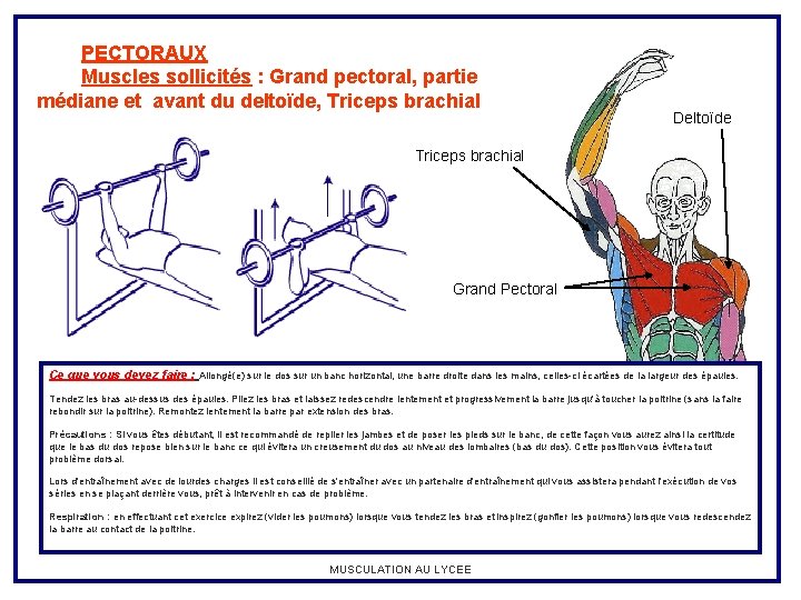 PECTORAUX Muscles sollicités : Grand pectoral, partie médiane et avant du deltoïde, Triceps brachial
