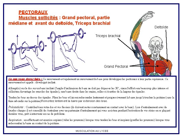 PECTORAUX Muscles sollicités : Grand pectoral, partie médiane et avant du deltoïde, Triceps brachial