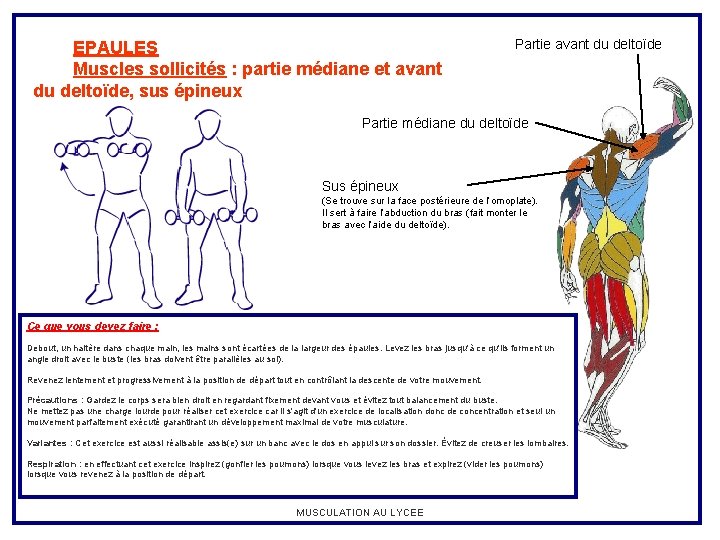 EPAULES Muscles sollicités : partie médiane et avant du deltoïde, sus épineux Partie avant