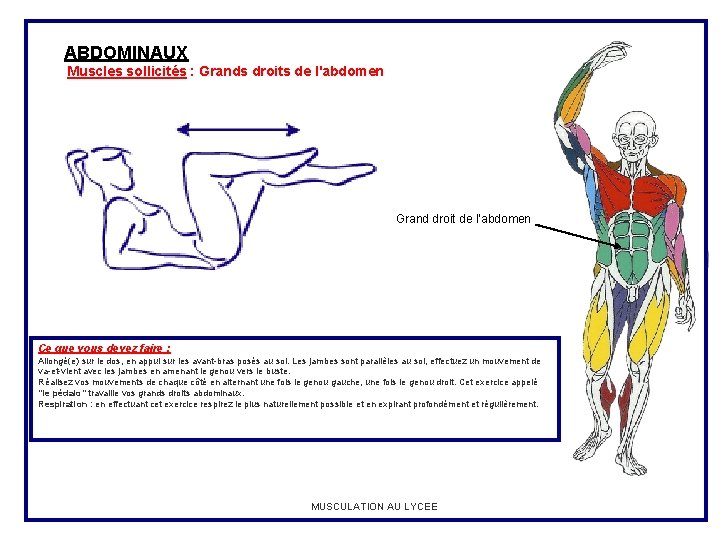ABDOMINAUX Muscles sollicités : Grands droits de l'abdomen Grand droit de l’abdomen Ce que