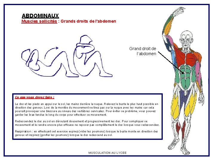 ABDOMINAUX Muscles sollicités : Grands droits de l'abdomen Grand droit de l’abdomen Ce que