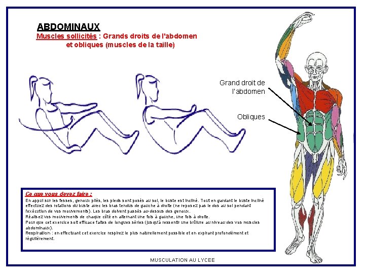 ABDOMINAUX Muscles sollicités : Grands droits de l'abdomen et obliques (muscles de la taille)