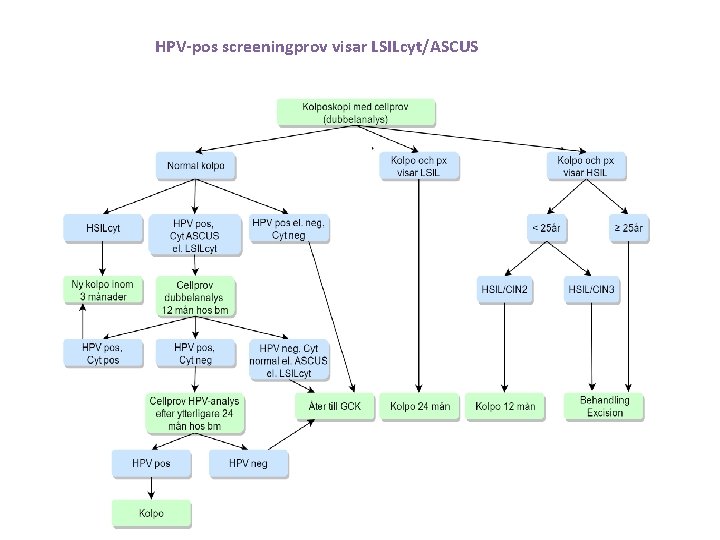 HPV-pos screeningprov visar LSILcyt/ASCUS 