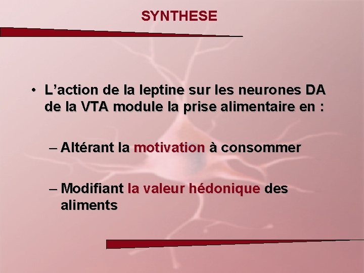 SYNTHESE • L’action de la leptine sur les neurones DA de la VTA module