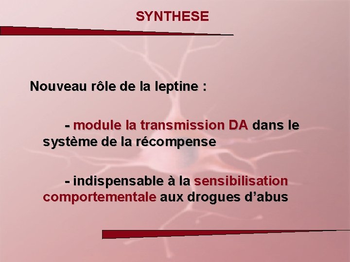 SYNTHESE Nouveau rôle de la leptine : - module la transmission DA dans le