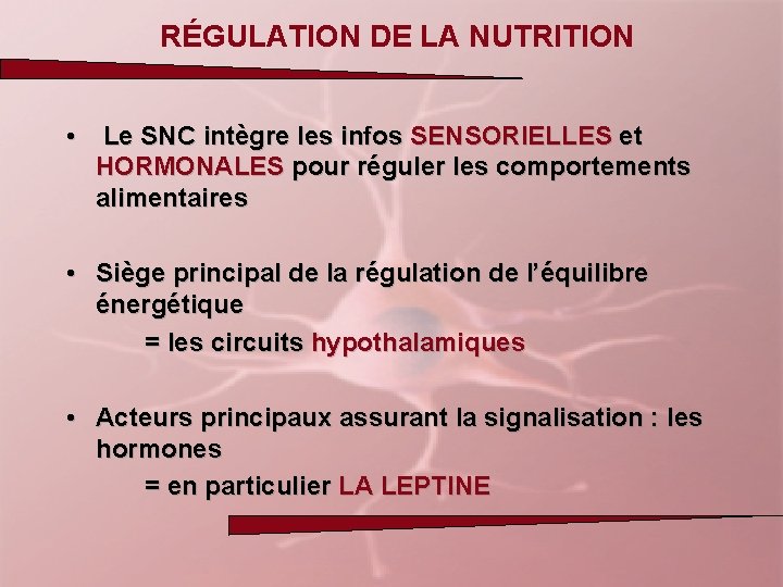 RÉGULATION DE LA NUTRITION • Le SNC intègre les infos SENSORIELLES et HORMONALES pour