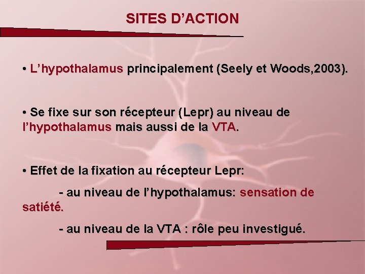 SITES D’ACTION • L’hypothalamus principalement (Seely et Woods, 2003). • Se fixe sur son