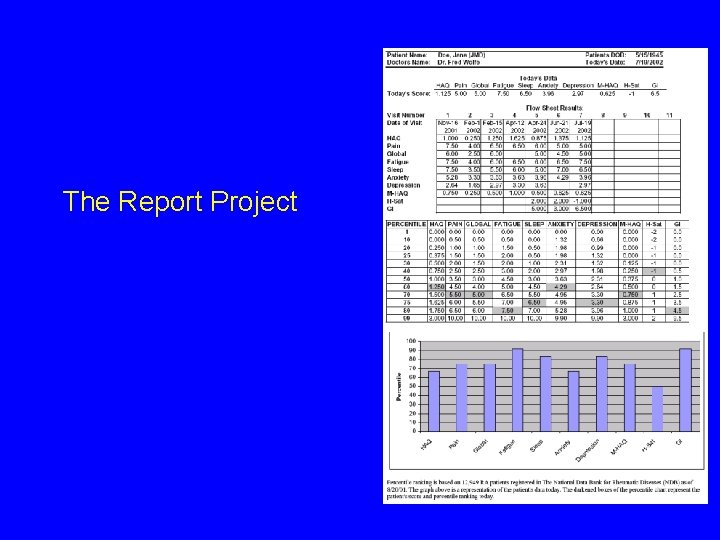 The Report Project 