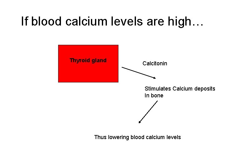 If blood calcium levels are high… Thyroid gland Calcitonin Stimulates Calcium deposits In bone