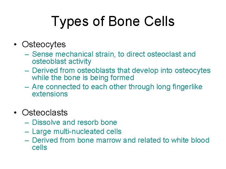 Types of Bone Cells • Osteocytes – Sense mechanical strain, to direct osteoclast and