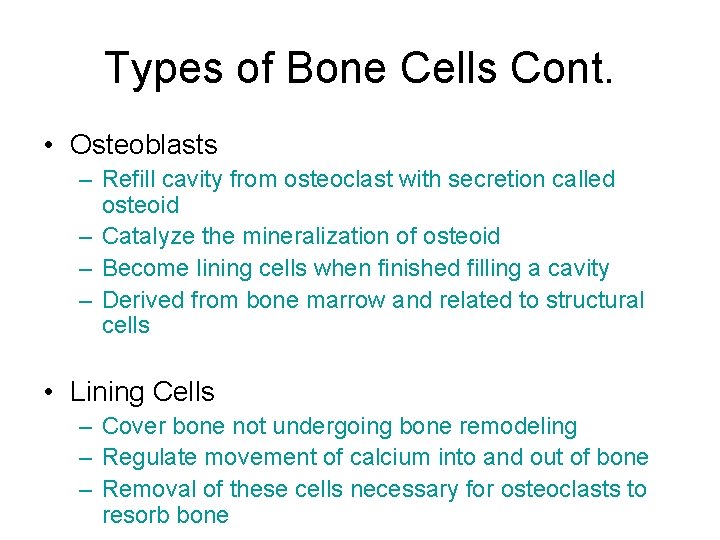 Types of Bone Cells Cont. • Osteoblasts – Refill cavity from osteoclast with secretion