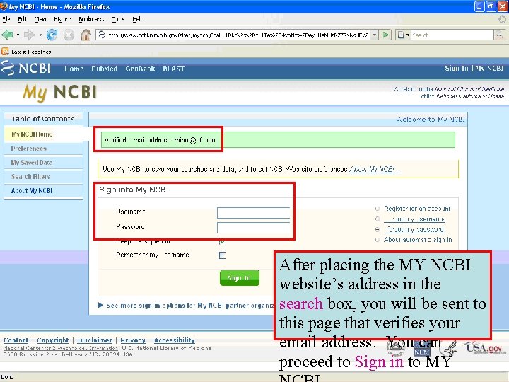 After placing the MY NCBI website’s address in the search box, you will be