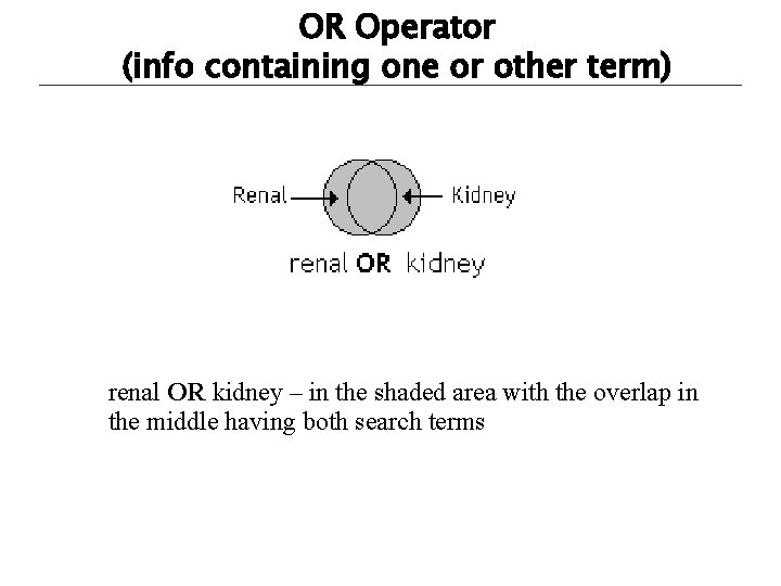 OR Operator (info containing one or other term) renal OR kidney – in the