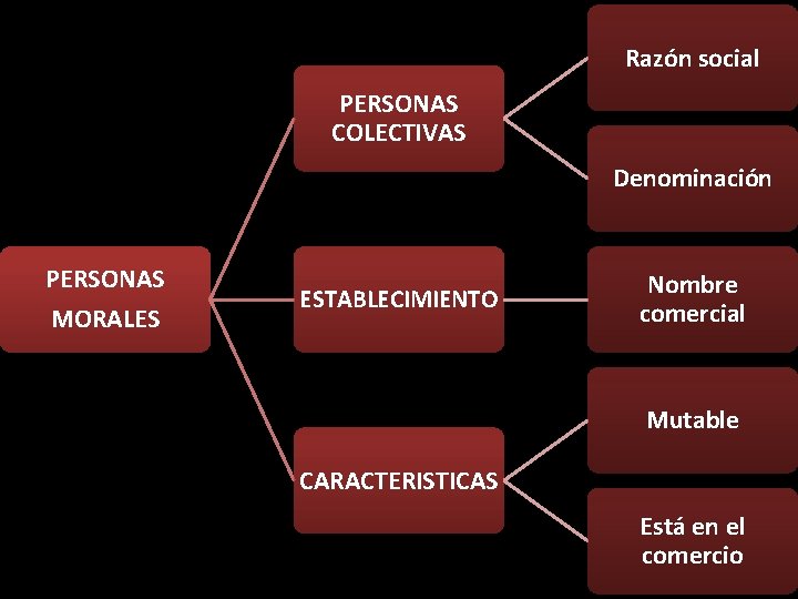 Razón social PERSONAS COLECTIVAS Denominación PERSONAS MORALES ESTABLECIMIENTO Nombre comercial Mutable CARACTERISTICAS Está en