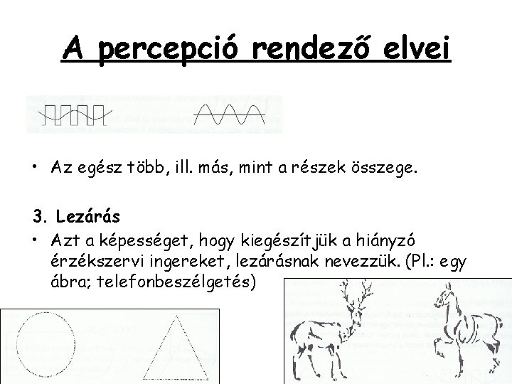 A percepció rendező elvei • Az egész több, ill. más, mint a részek összege. A percepció rendező elvei • Az egész több, ill. más, mint a részek összege.