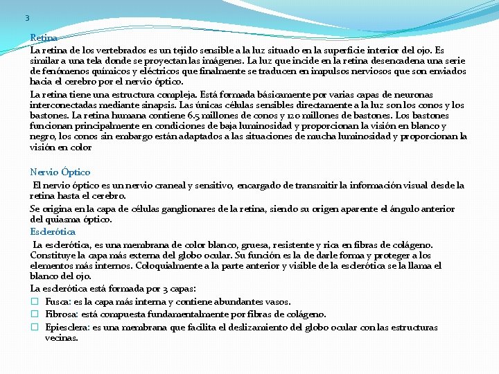 3 Retina La retina de los vertebrados es un tejido sensible a la luz