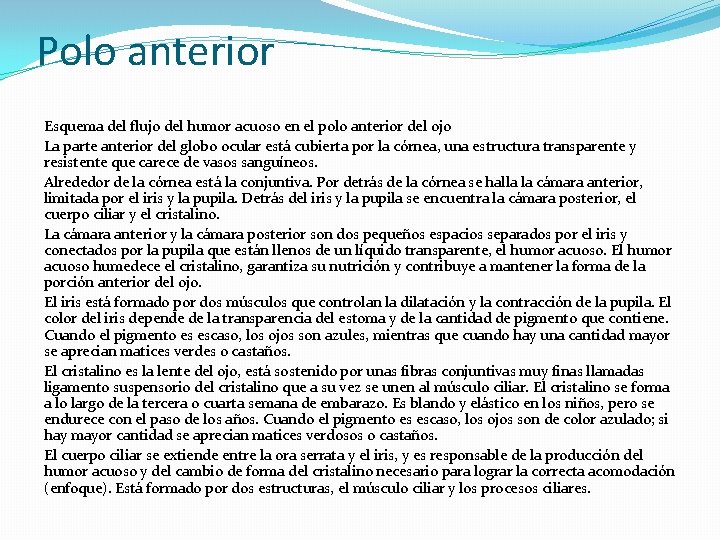 Polo anterior Esquema del flujo del humor acuoso en el polo anterior del ojo