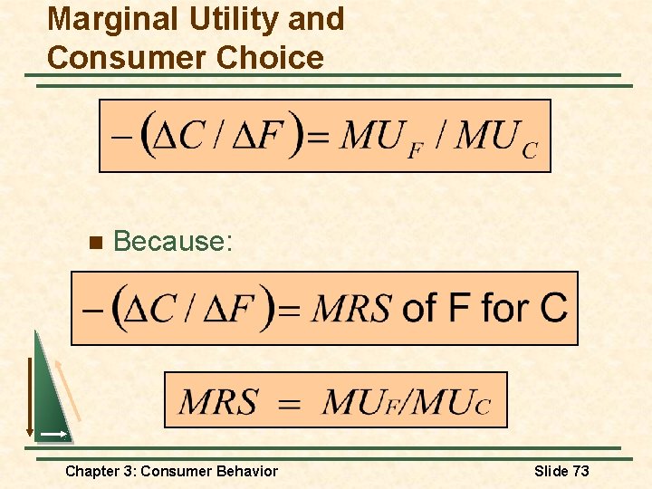 Marginal Utility and Consumer Choice n Because: Chapter 3: Consumer Behavior Slide 73 